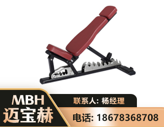 固原可调哑铃椅